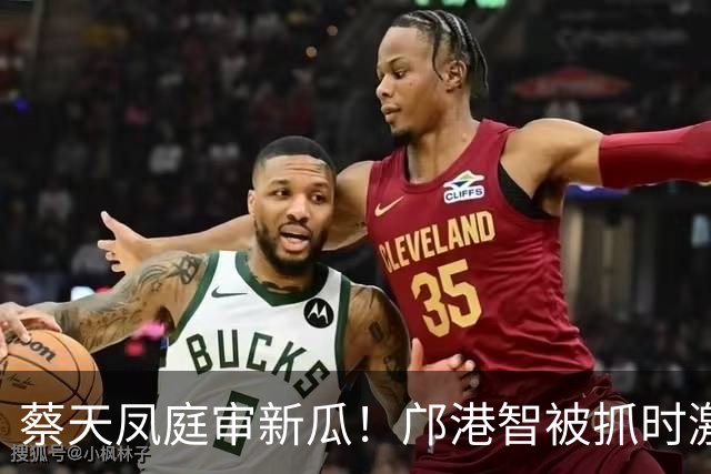 蔡天凤庭审新瓜！邝港智被抓时激烈反抗，右脸被擦伤，逃脱地存疑