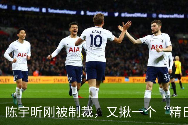 陈宇昕刚被制裁，又揪一个“精日”人员：竟然还是本土企业老板